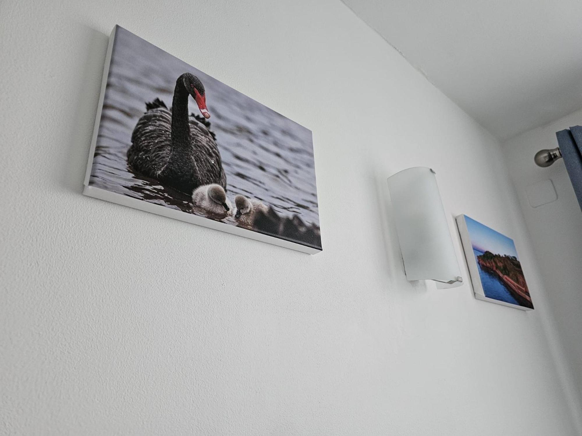 The Nautical Nook Apartamento Dawlish Exterior foto